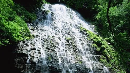 高质量智能数字化